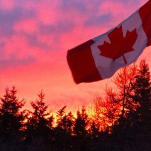 Meet your Posher, Harry